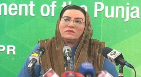 ‘Calibri Queen’: Firdous Awan strongly criticises Maryam Nawaz
