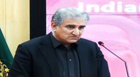FM Qureshi urges world ‘to stop India’ from violating rights’ in IOK