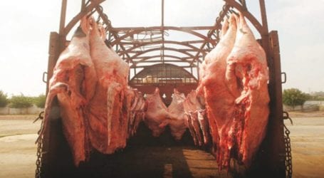 Illegal abattoir in Karachi’s Zaman Town supplying unhealthy meat