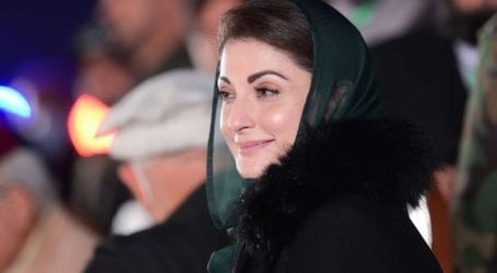 Maryam Nawaz to attend joint parliamentary party meeting of PML-N today