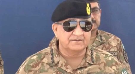 Army chief lauds soldiers’ professional prowess