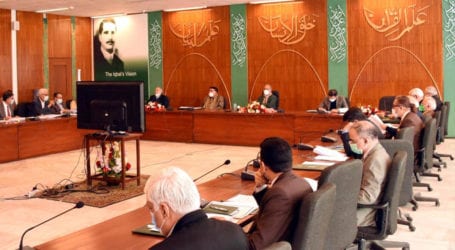 ECC approves 2% additional cut in customs duties on 152 tariff lines