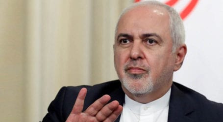 Iranian FM proposes coordinated return to nuclear deal with US