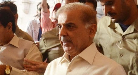Money laundering case against Shehbaz Sharif to be heard today