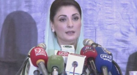 ‘Video never lies’: Maryam presents ‘evidence’ of rigging in by-polls