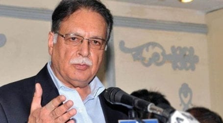Senate elections: Pervaiz Rasheed challenges rejection of nomination papers
