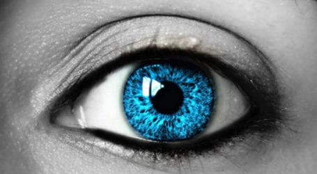Can Human Eye See 10 Million Colours? Read 13 Interesting Facts