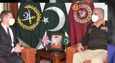Army chief, British envoy discuss Afghan peace process