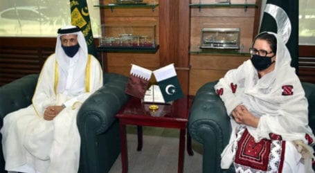 Pakistan, Qatar need to extend ties beyond economic domain: Minister