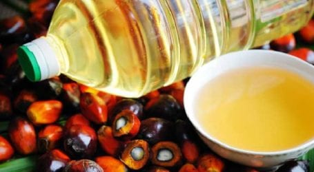 Palm oil imports increase 34% to $1.585bn in fiscal year