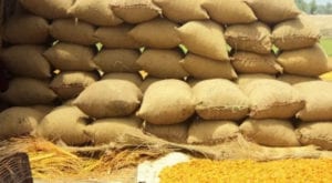 ECC allocated 500,000MT imported wheat to meet the requirement. Source: FILE/Online.