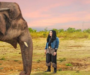 Documentary on elephant Kavaan’s journey to release on April 22