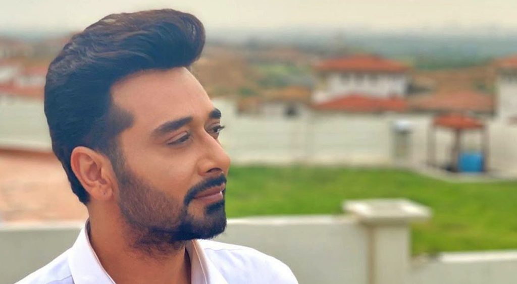 Faysal Qureshi talks about slapping scenes in drama, says 'it leaves mark  on your mind'