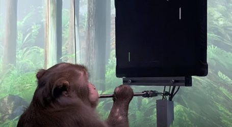 Elon Musk’s Neuralink shows monkey with brain-chip playing videogame