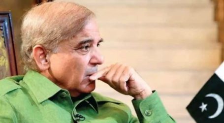 Shehbaz Sharif granted bail in assets beyond means case