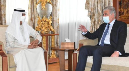 Qureshi discusses bilateral ties, investment with UAE minister