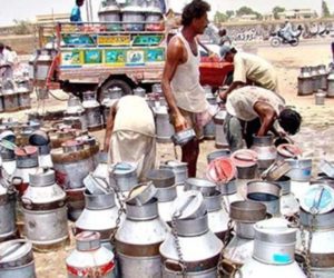 Milk price in Karachi increases by Rs20 to Rs200 per liter