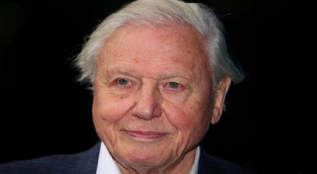 David Attenborough named COP26 People’s Advocate ahead of climate summit