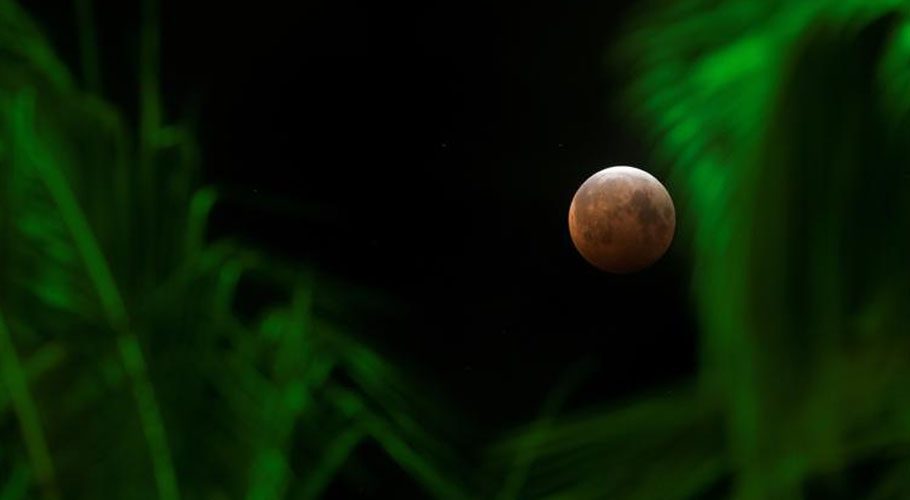 A supermoon, the biggest and brightest full moon of the year, coincides with a total lunar eclipse making the Moon appear red over the skies of Honolulu, Hawaii. Source: Reuters 