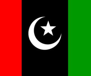 PPP candidate wins Badin PS-70 by-election