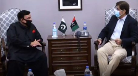 Interior Minister discusses law and order situation with CM Sindh