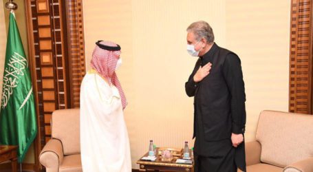 FM Qureshi discusses regional issues with Saudi counterpart