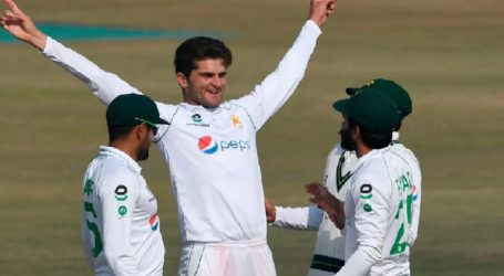 Shaheen grabs 5 wickets as Pakistan crush Zimbabwe to win series