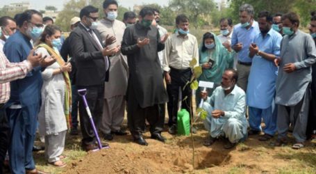 Everyone should plant one tree to resolve Karachi’s heat problem