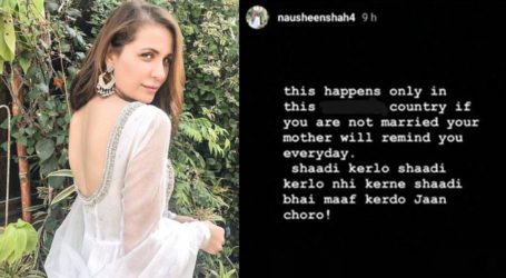 Nausheen Shah bashed for bad-mouthing her own country