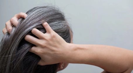 Reducing stress can reverse grey hair to natural colour: study