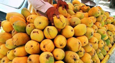 Japan approves Pakistan’s mango facility for exports