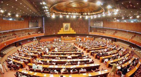 Ruckus in NA: Members throw bottles of saintiser at each other during session