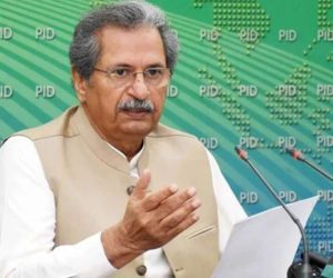 Shafqat Mahmood slams PML-N leaders over ‘cheap exam’ politics
