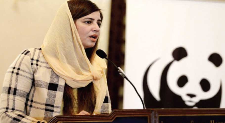 Varsity students who plant trees will be given 20 marks extra: Minister