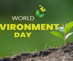 World Environment Day: Collective efforts needed to tackle climate change