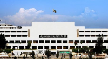 NA passes bill granting voting rights to overseas Pakistanis