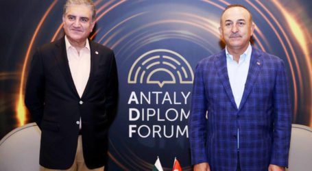 FM Qureshi, Turkish counterpart discuss Afghan peace process