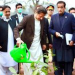 Prime Minister Imran Khan planting a tree. Source: PID/APP