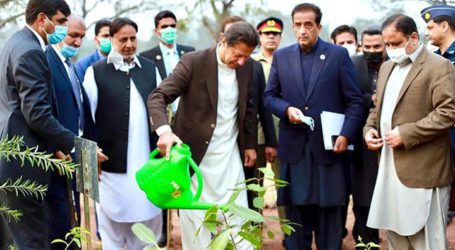 PM asks youth to gear up for ‘biggest tree plantation campaign’