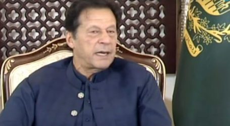 No country made more efforts for Afghan peace than Pakistan: PM Khan