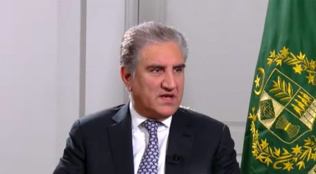 India admits it ensured Pakistan remained on FATF grey list: FM Qureshi