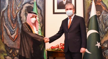 Pakistan, Saudi Arabia agree to improve bilateral ties in diverse areas