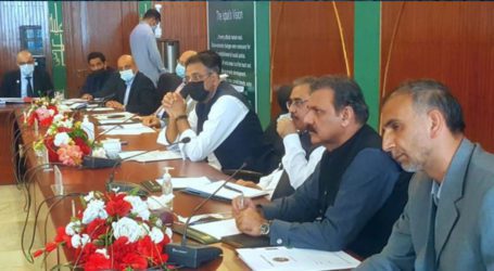 Committee calls for expediting pace on CPEC energy projects