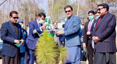 PM to inaugurate world’s biggest Miyawaki forest in Lahore today