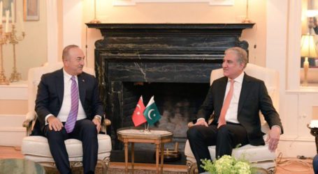 FM Qureshi thanks Turkey for supporting Kashmir at UN