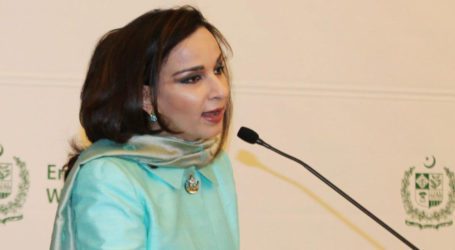 Sherry Rehman criticizes Pak-US talks on terrorism