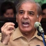 NAB ordinance akin to 'no trust motion' against parliament: Shehbaz. (File)