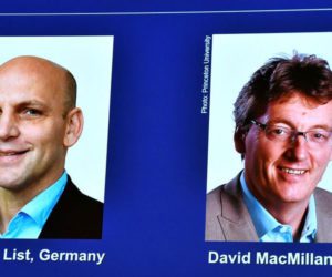 Two scientists win Nobel chemistry prize for developing molecule building tool