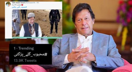 Imran Khan gets brutally trolled after increasing rates of petroleum prices
