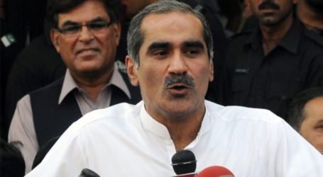 Govt is forcing people to commit suicide due to inflation, Saad Rafique